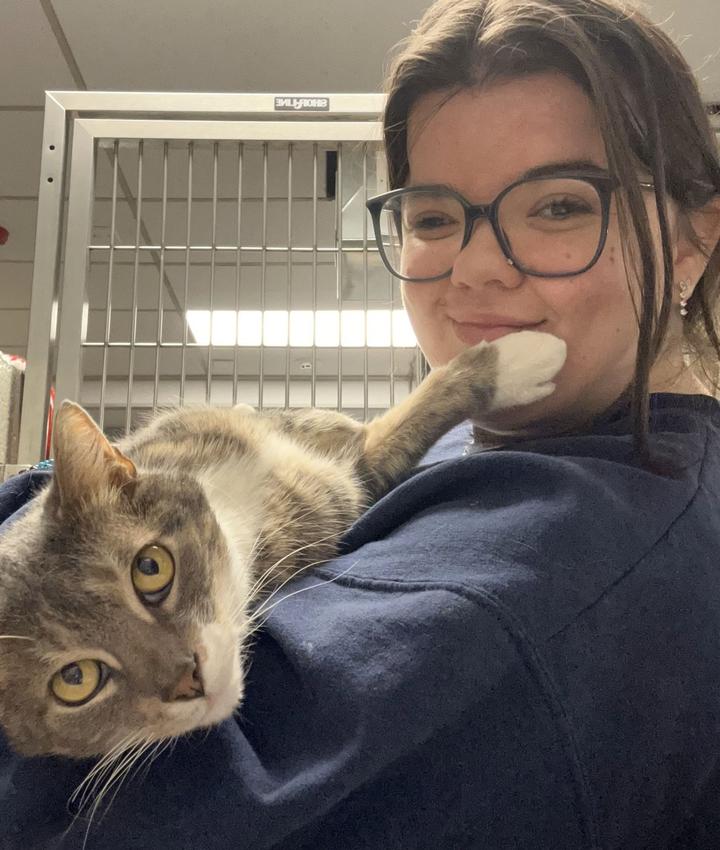 Veterinarians in Lynbrook Lynbrook NY Veterinarians